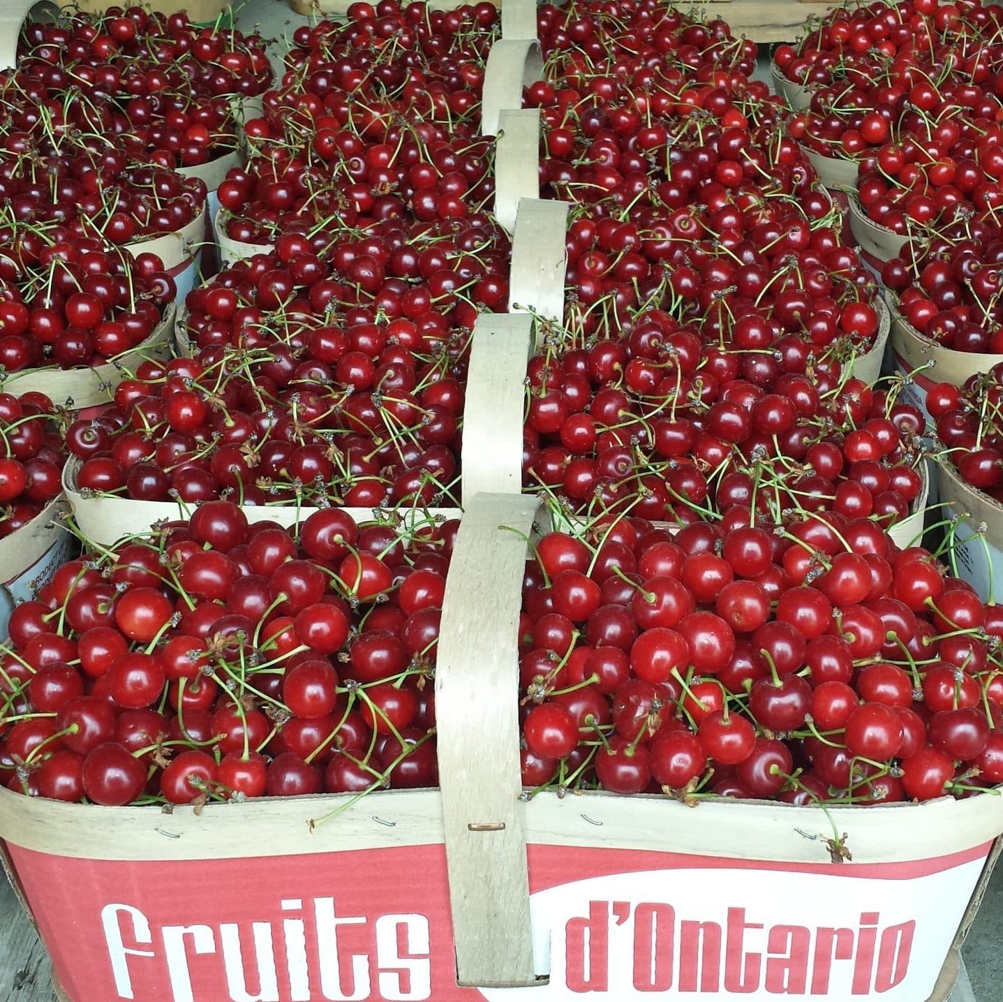 Rows of wooden-handled baskets heaped with bright red sour cherries, stems still on