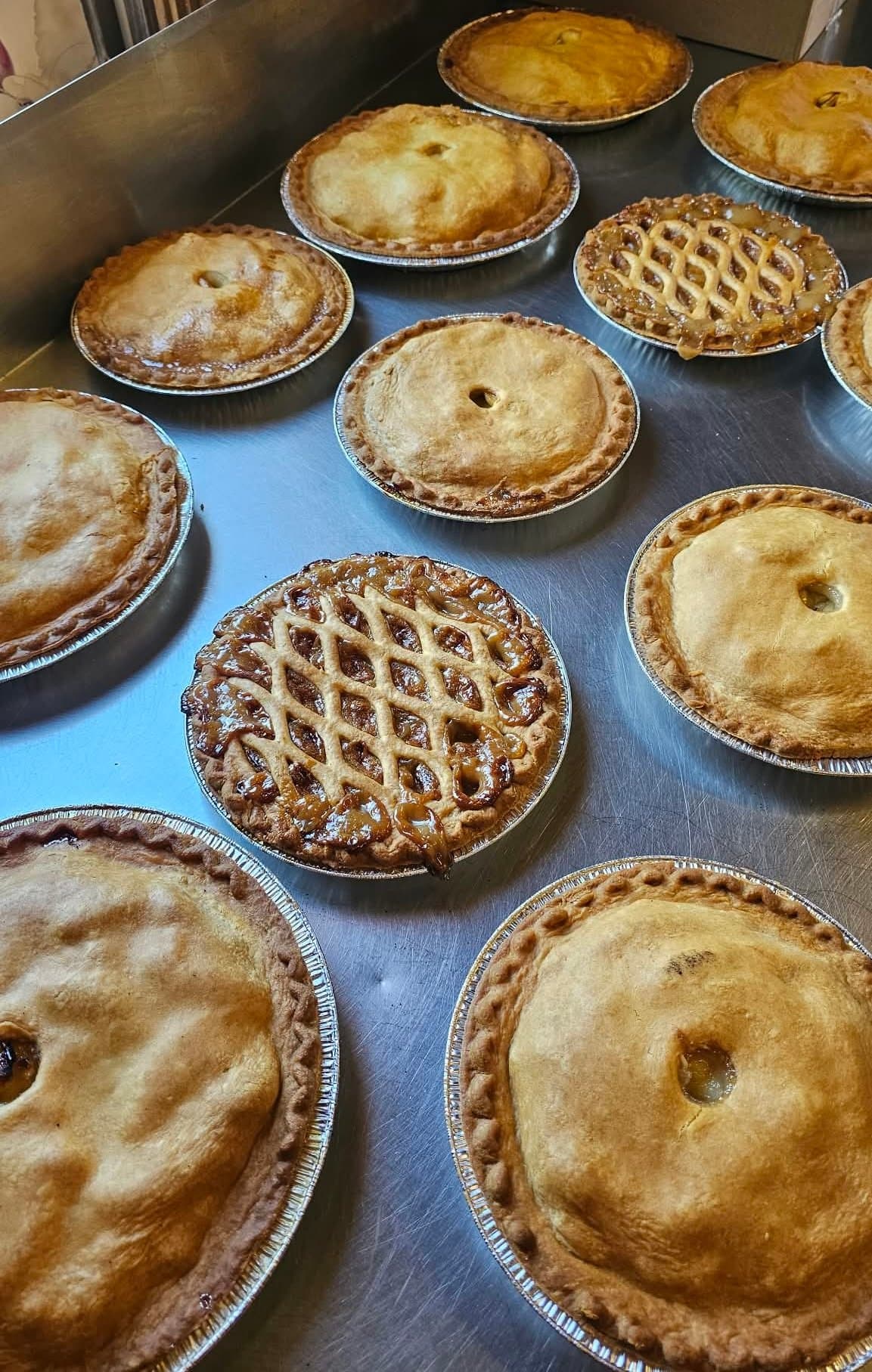 A steel tray of golden double-crust and lattice-top pies fresh from the oven