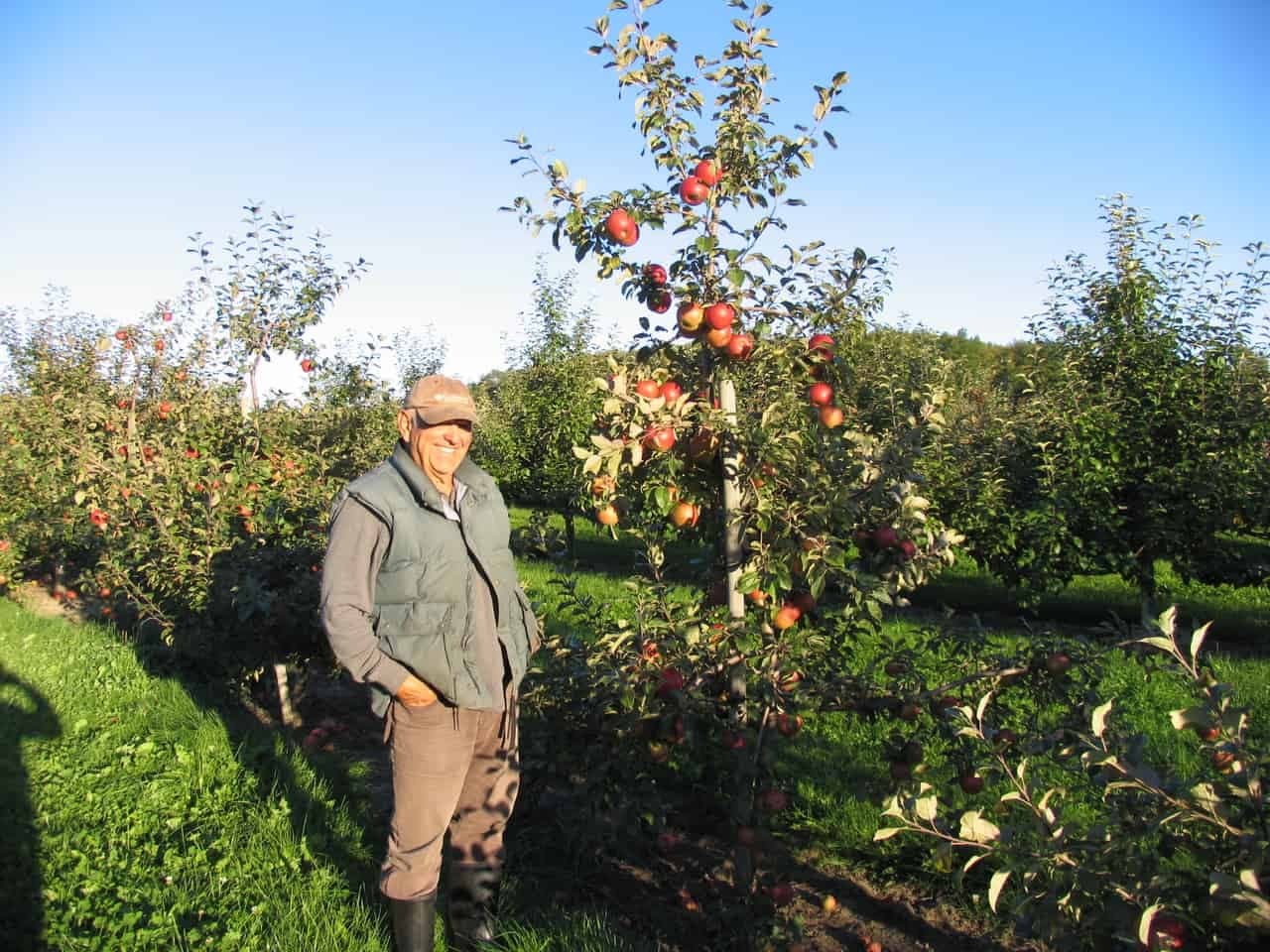Founding farmer Frank Passafiume, smiling in a cap and vest, stands beside an apple tree heavy with red fruit