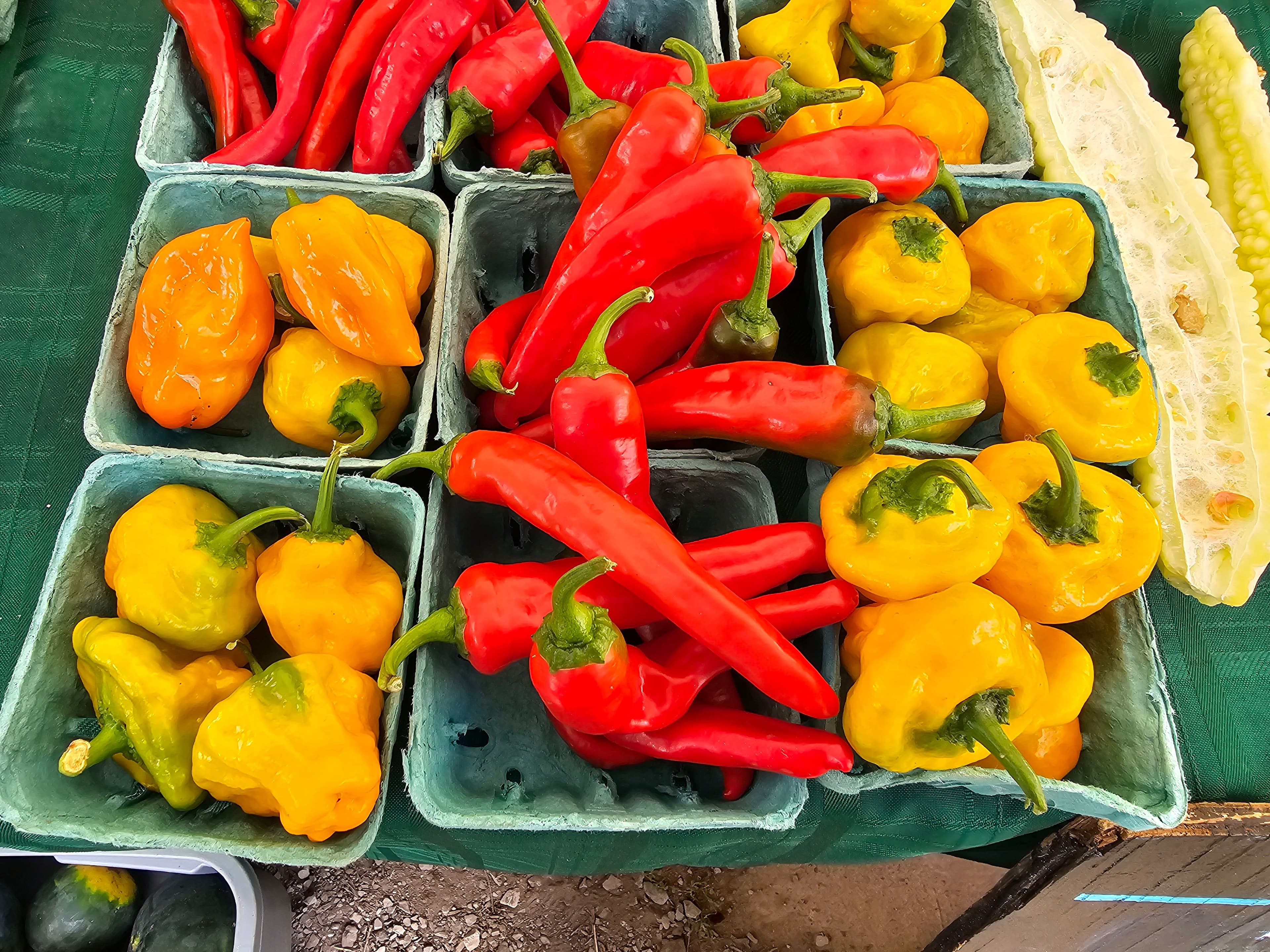 Pint baskets of long red hot peppers and yellow and orange bonnet peppers on a green tablecloth, with split bitter melon beside them