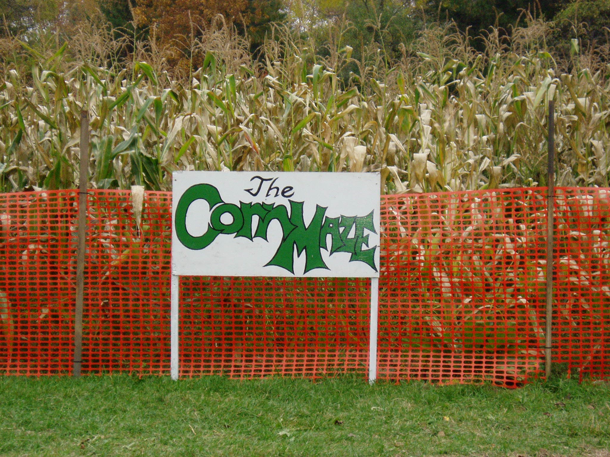 A hand-painted sign reading The Corn Maze in front of a fall corn field behind orange fencing