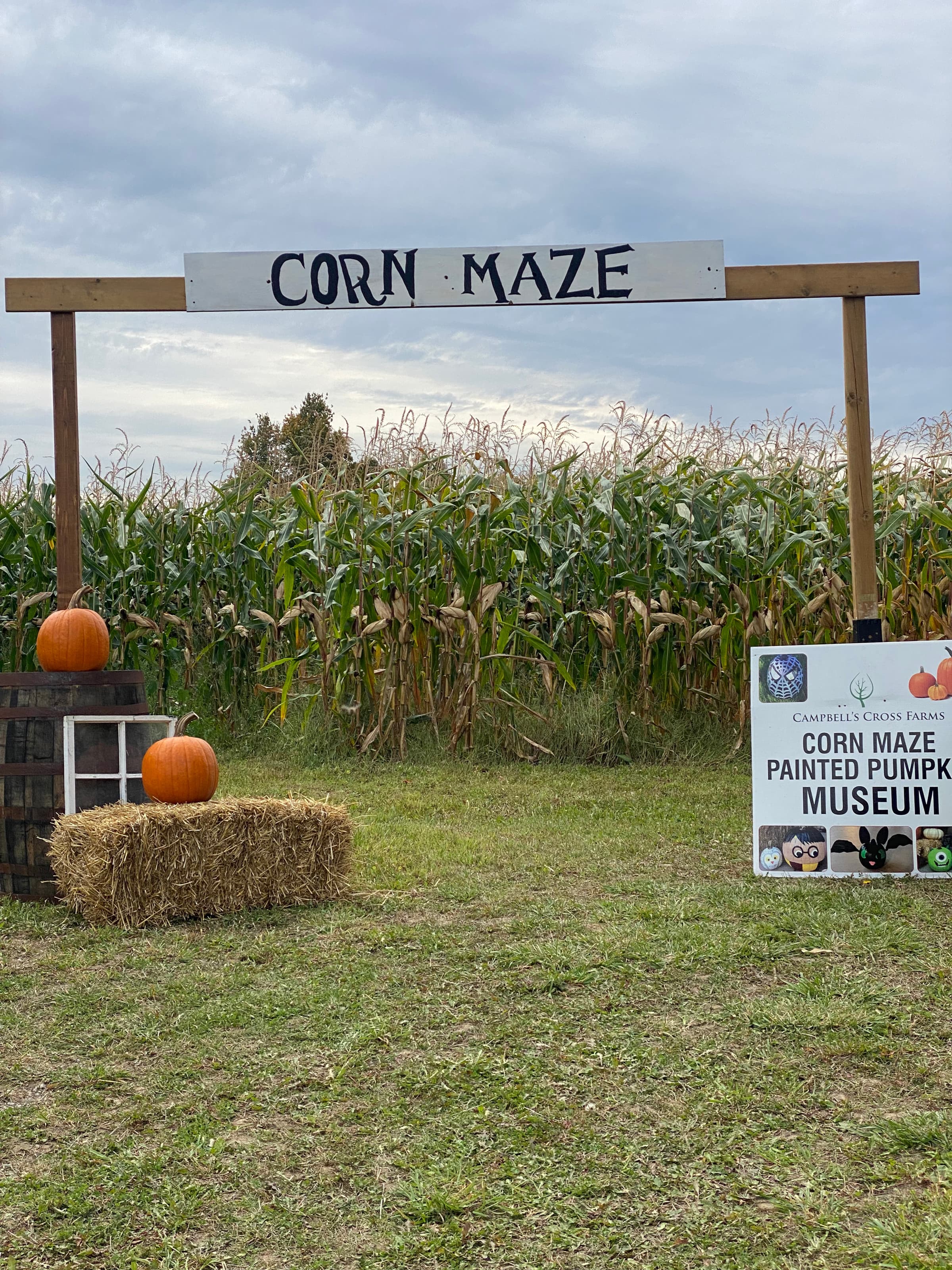 A wooden arch signed Corn Maze at the edge of tall corn, with pumpkins on a hay bale and barrel and a Painted Pumpkin Museum sign
