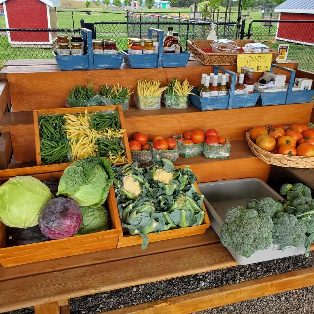 Wooden produce stand shelves with cabbages, cauliflower, broccoli, green and yellow beans, tomatoes and jars of preserves and sauces
