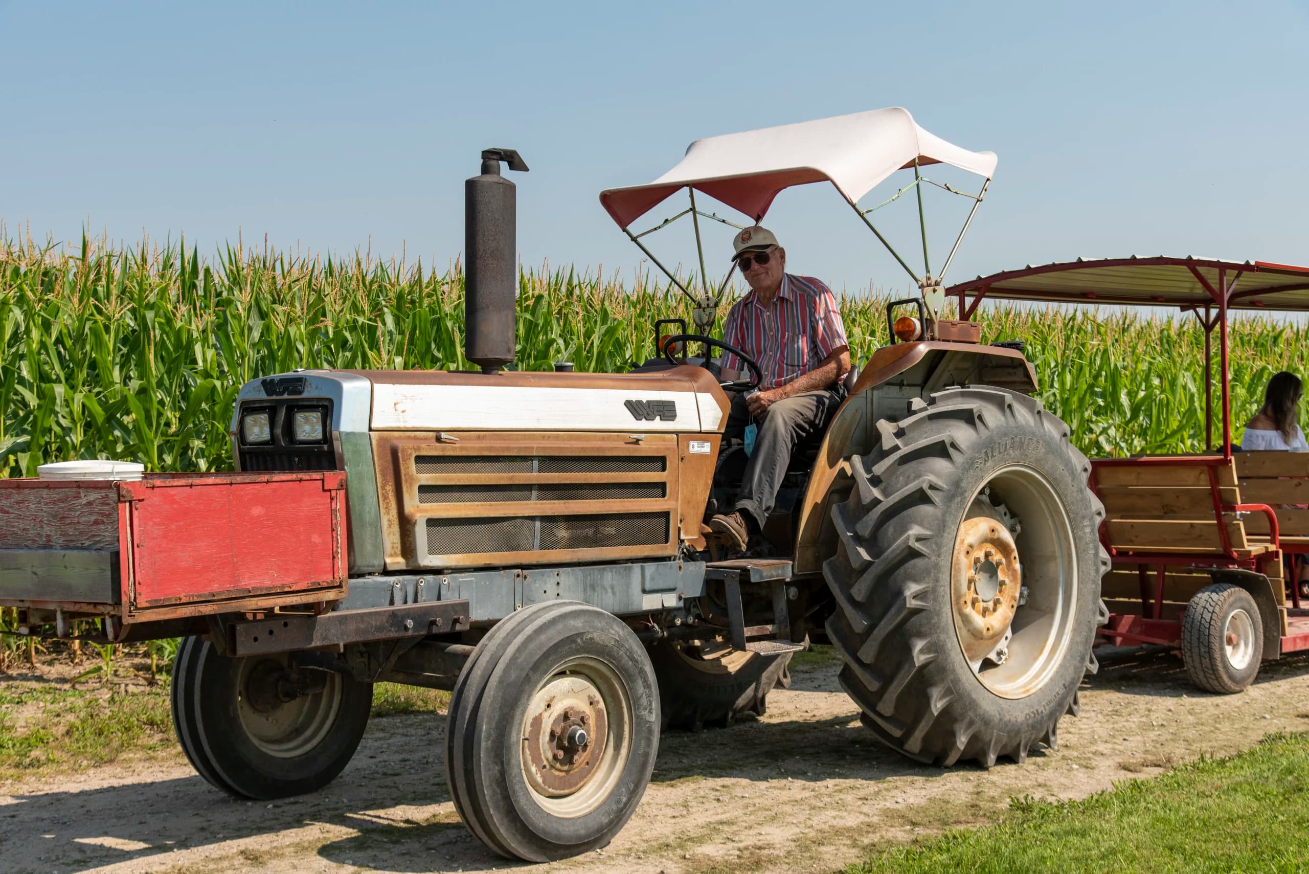 A smiling farmer in a cap and striped shirt drives an old tractor along a dirt lane beside tall corn, pulling a red wagon