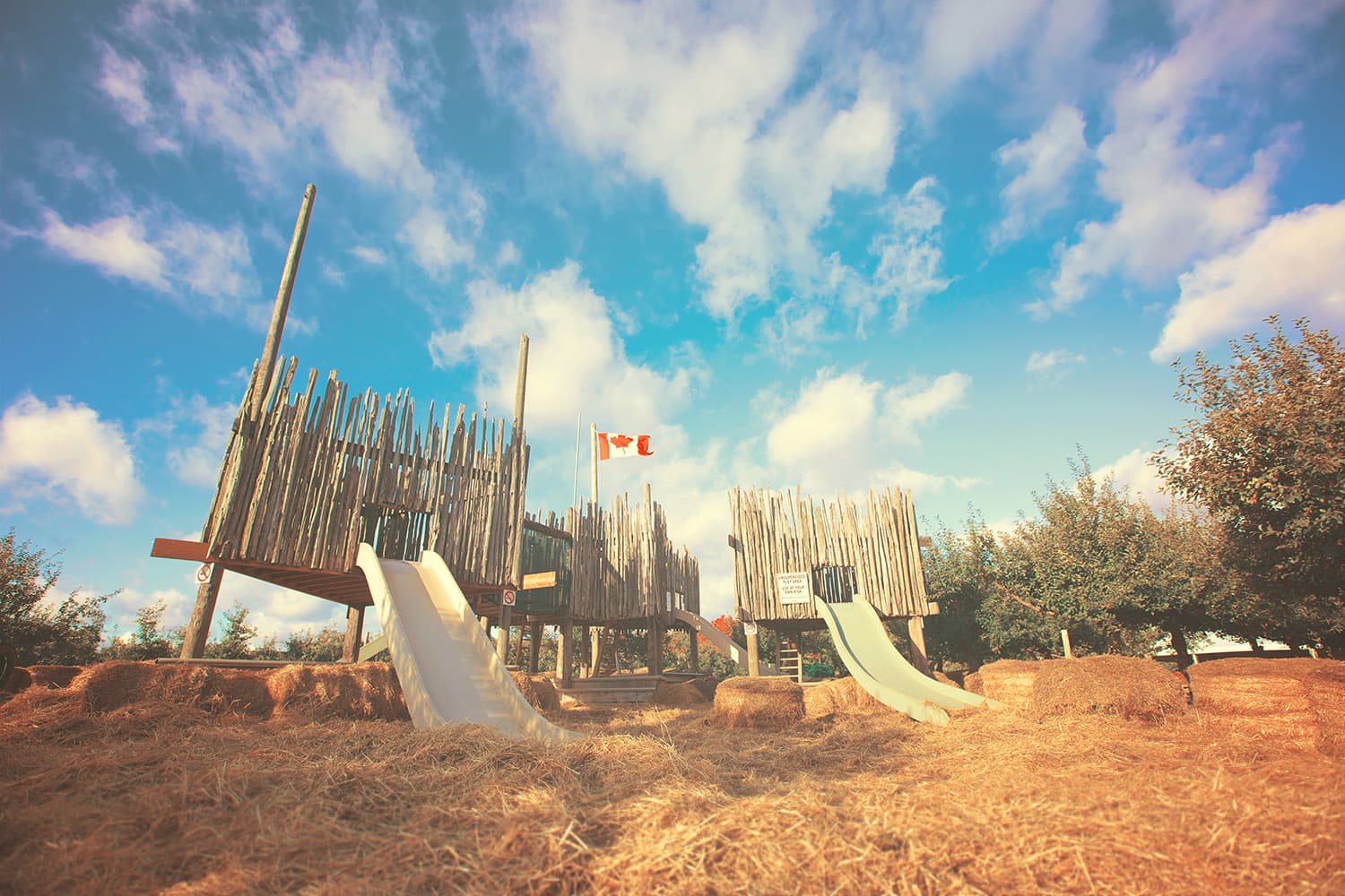 Wooden play towers with slides and a Canadian flag stand among hay bales beside the apple trees