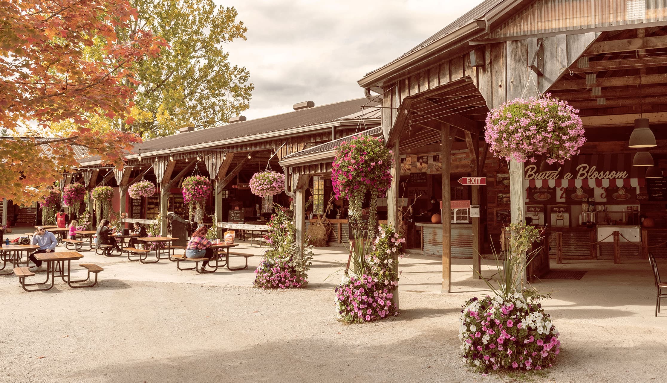 The farm's timber-framed food court under autumn trees, with hanging flower baskets, picnic tables and the Build a Blossom counter