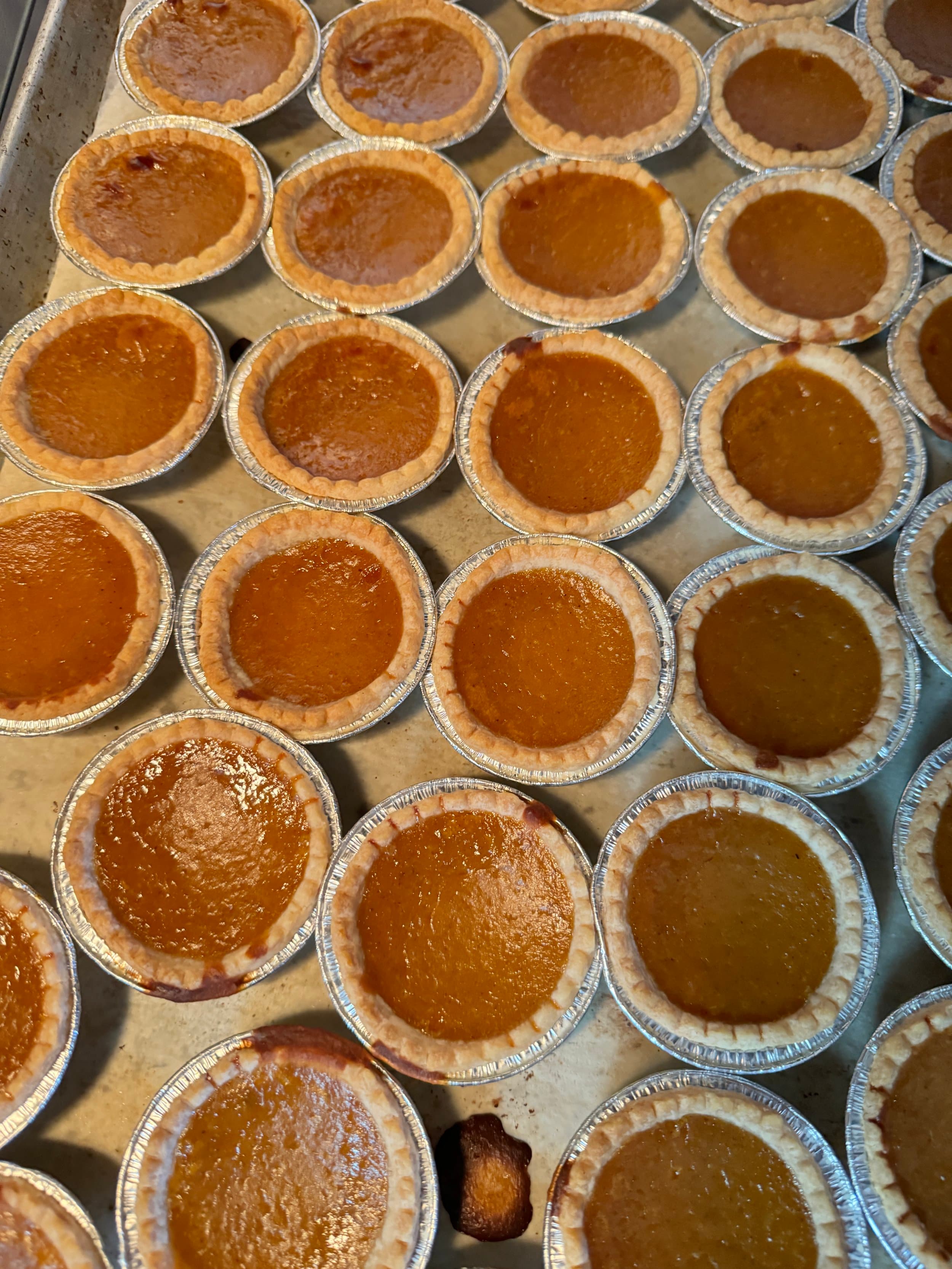A baking tray crowded with freshly baked pumpkin tarts in foil cups
