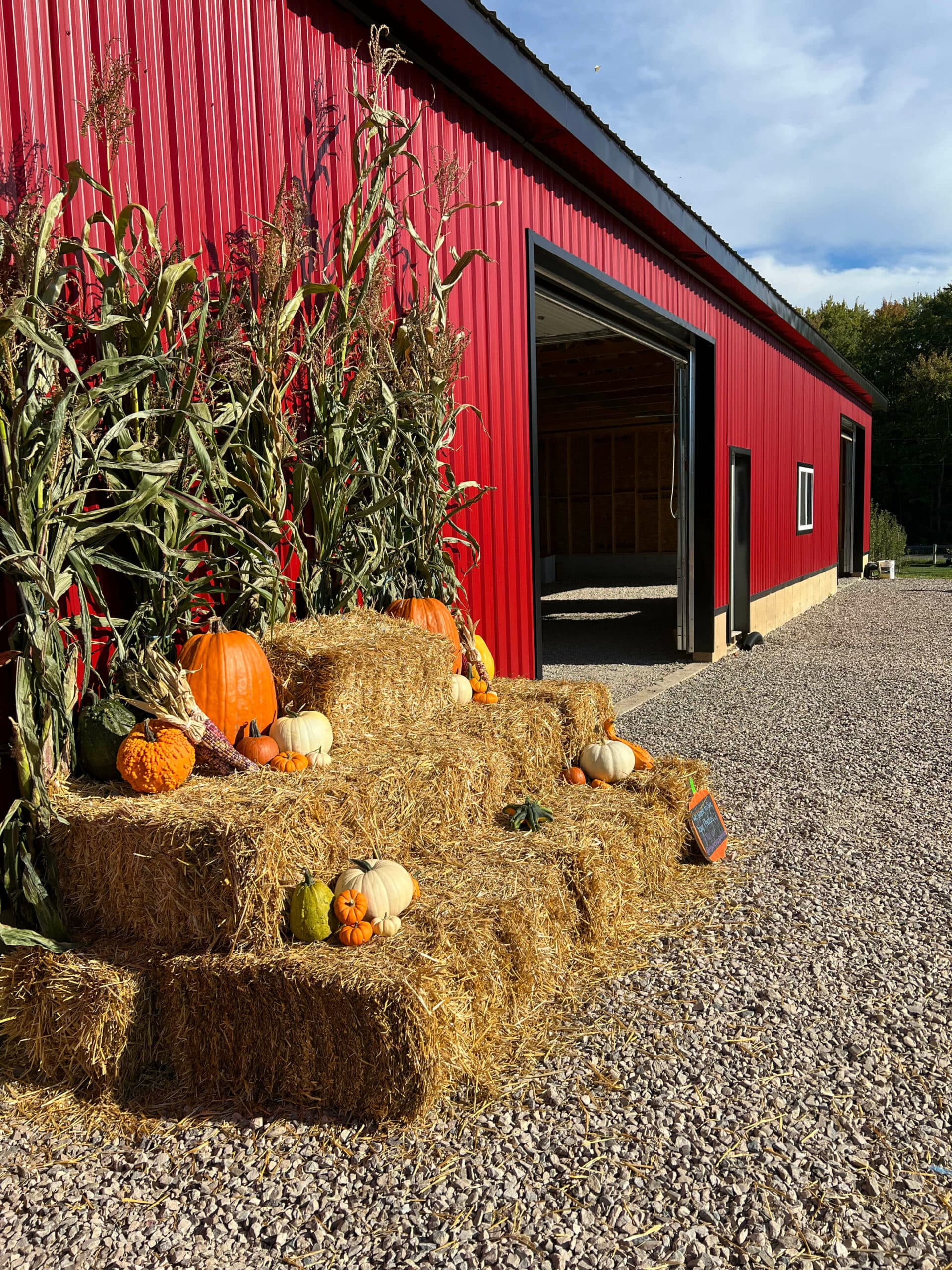Pumpkins, gourds and white squash on stacked straw bales against a red steel barn with dried corn stalks, its big door open onto a gravel yard
