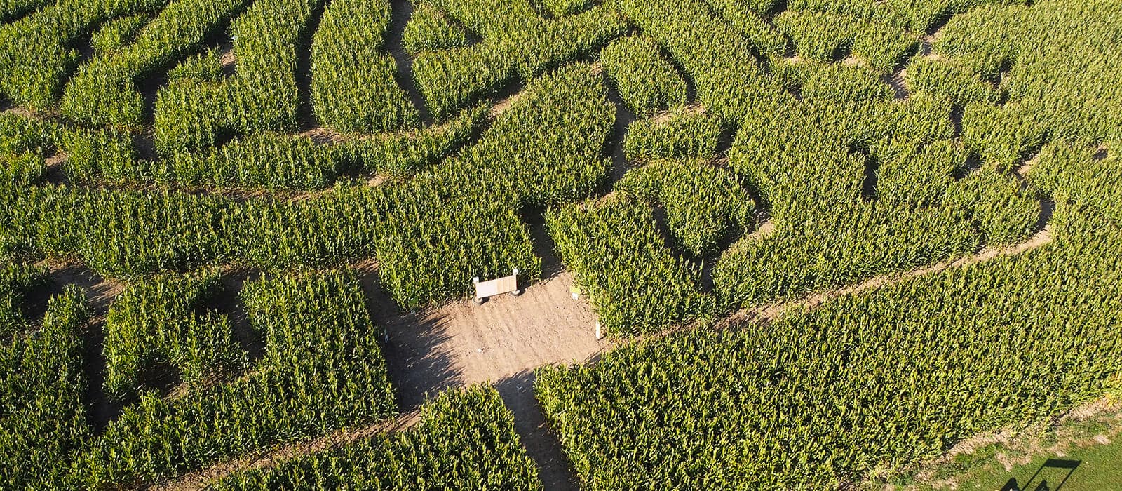 Looking down on the corn maze from above, with paths cut through tall green corn and a small wooden sign at a clearing