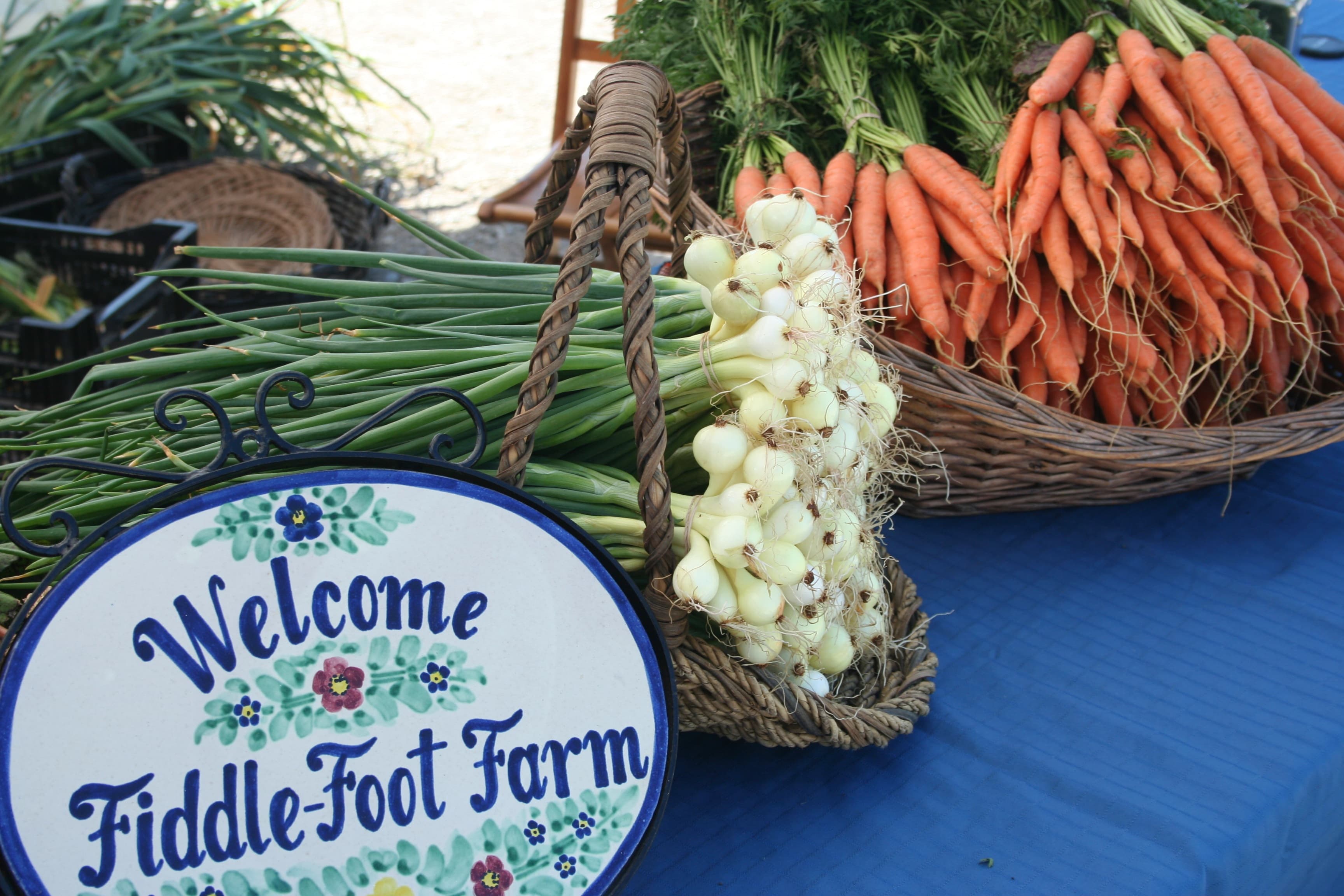 Bunched carrots and white onions in wicker baskets on a blue cloth beside a painted Welcome Fiddle-Foot Farm sign