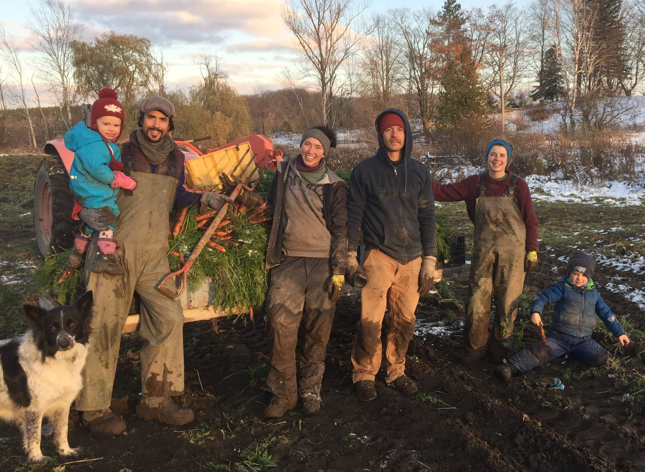 Four muddy Fiddle Foot Farm farmers smiling beside a wagon heaped with freshly dug carrots, with patches of snow on the field, two young children and a black-and-white dog