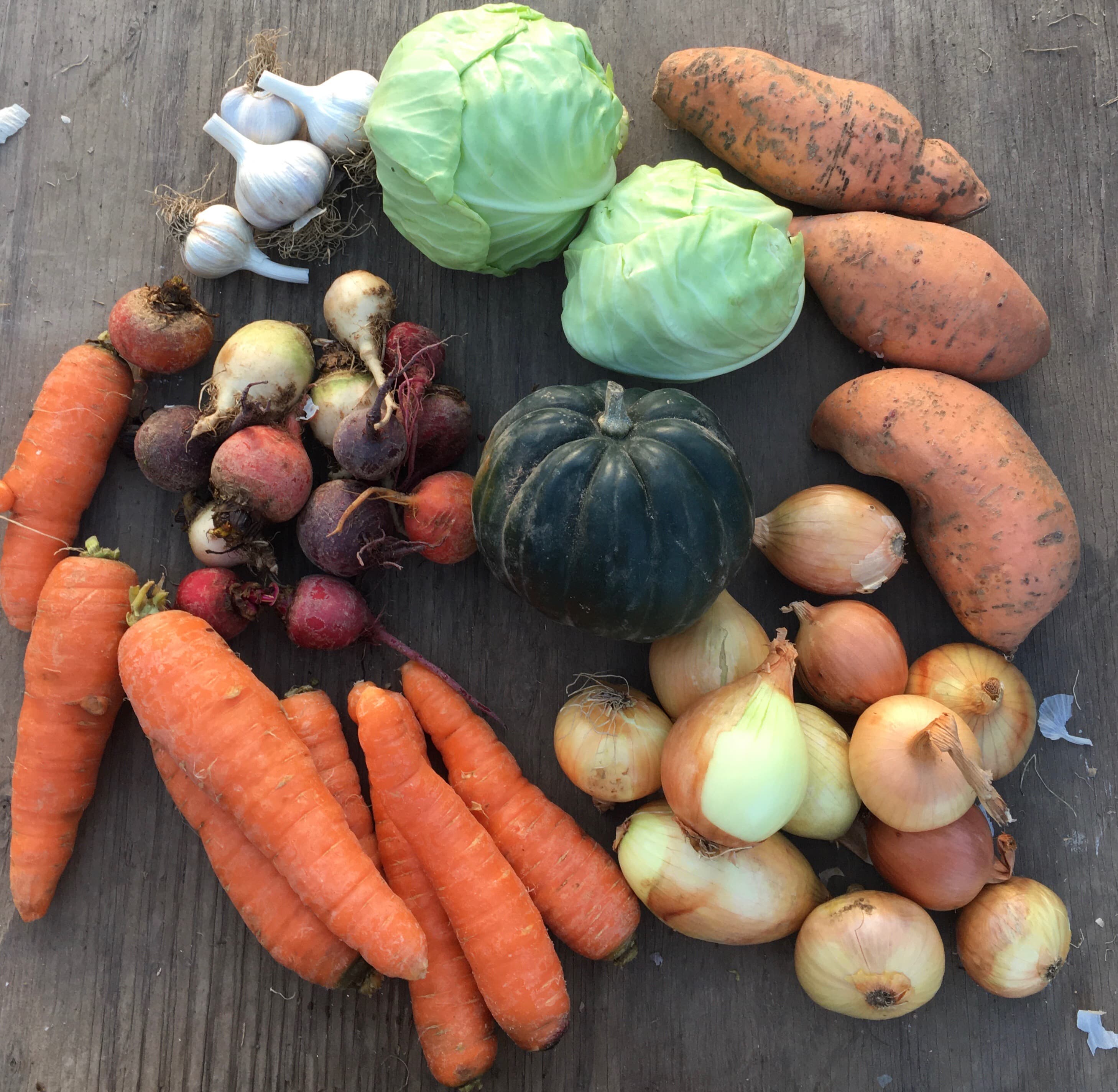 A sample winter CSA share laid out on a weathered wooden table: carrots, red, golden and white beets, a dark green squash, two green cabbages, garlic bulbs, yellow onions and three sweet potatoes