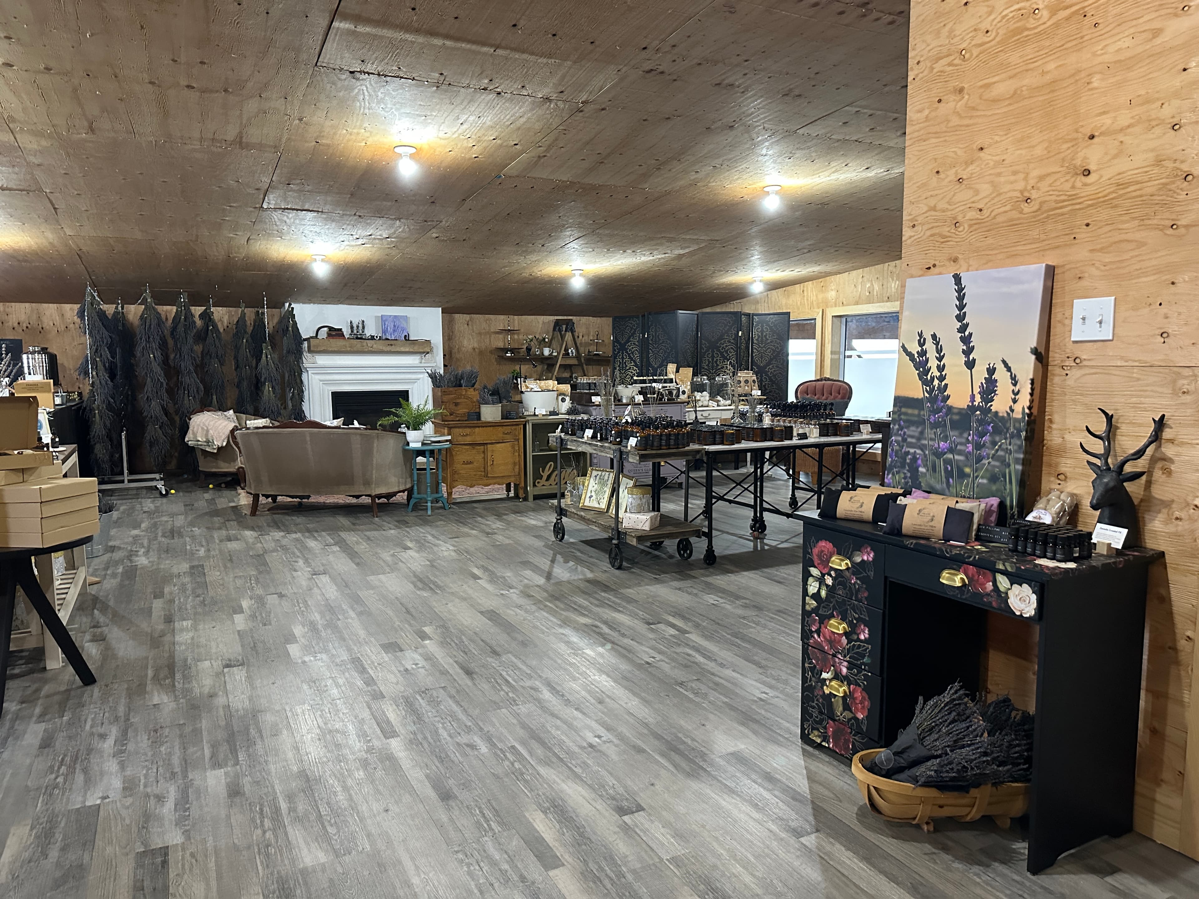 Inside the Lavender Lounge + Boutique: dried lavender hanging by a white fireplace, tables of products and a lavender painting