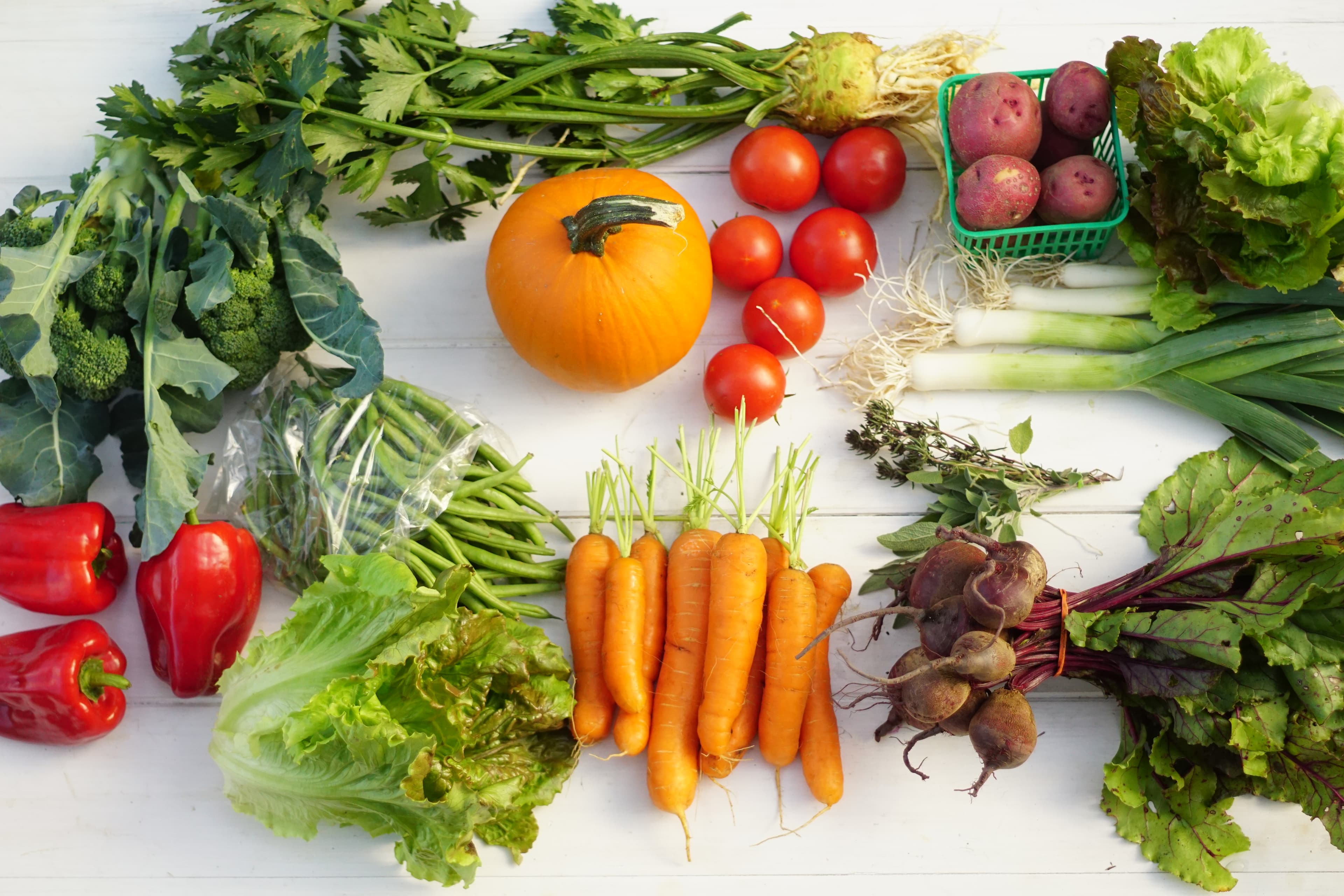Vegetables laid out on a white table: a small pumpkin, tomatoes, carrots, beets, leeks, celeriac, lettuce, broccoli, red peppers, green beans, red potatoes and fresh herbs