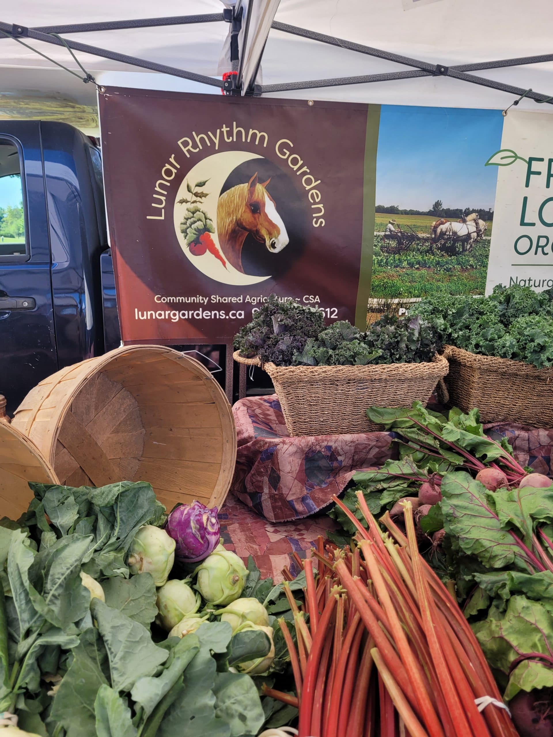 The farm's market table heaped with kohlrabi, rhubarb, beets and baskets of kale, under the Lunar Rhythm Gardens banner