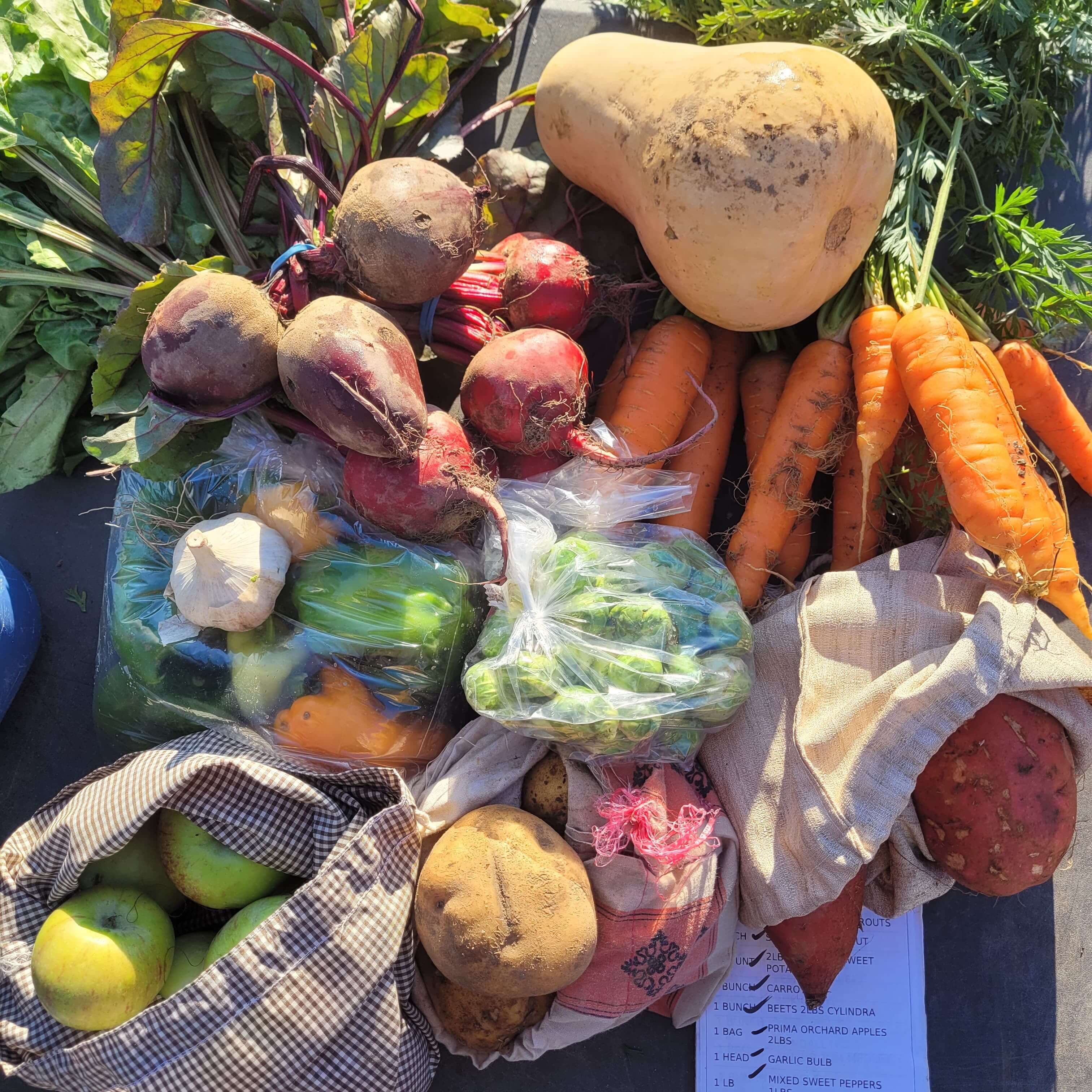 A fall CSA share laid out on a table: a butternut squash, bunched carrots and beets, garlic, sweet peppers, Brussels sprouts, potatoes, sweet potatoes and a cloth bag of green apples