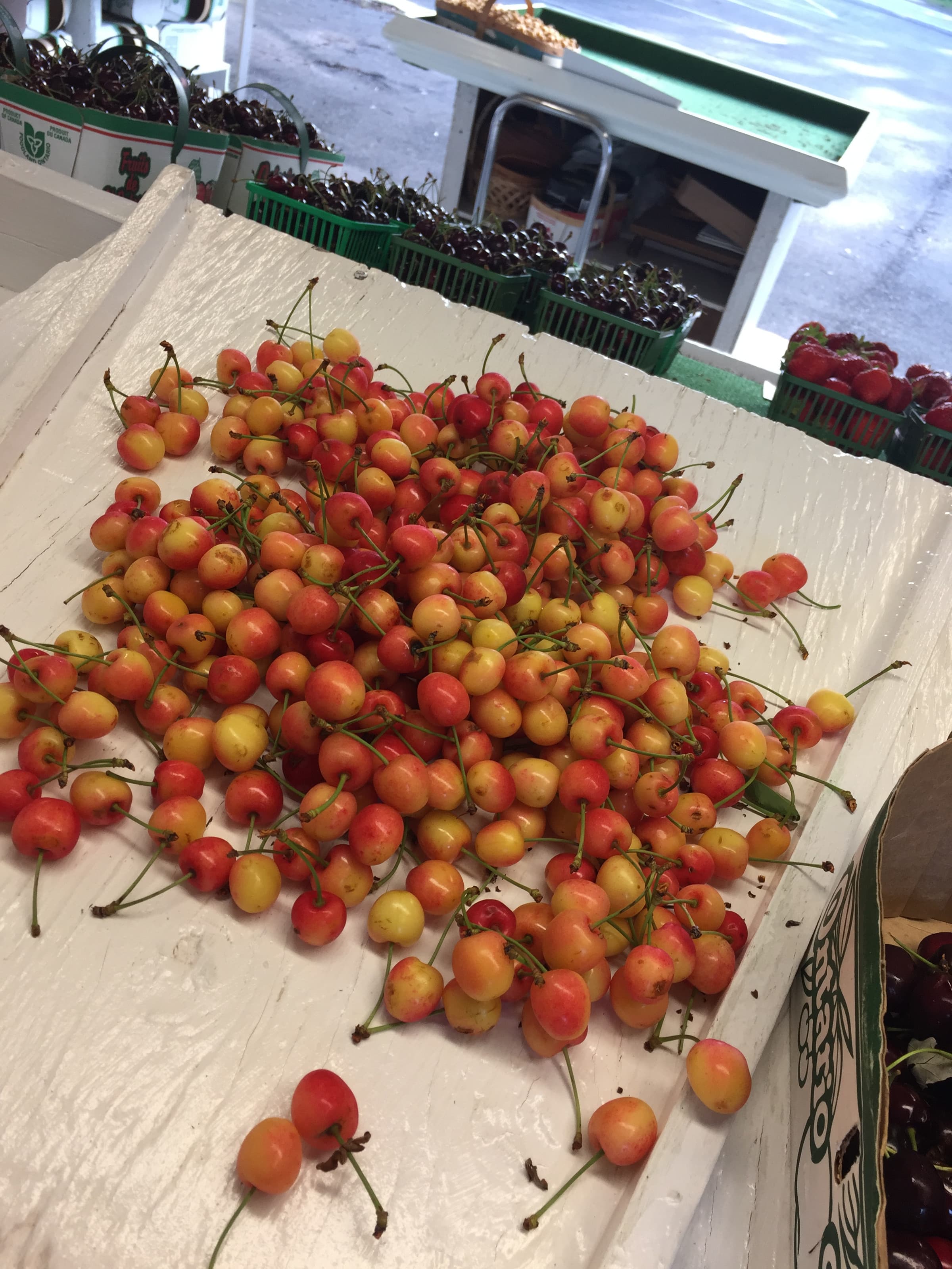 A pile of red and yellow white cherries on a painted wooden tray at the fruit stand, with baskets of dark sweet cherries and strawberries behind