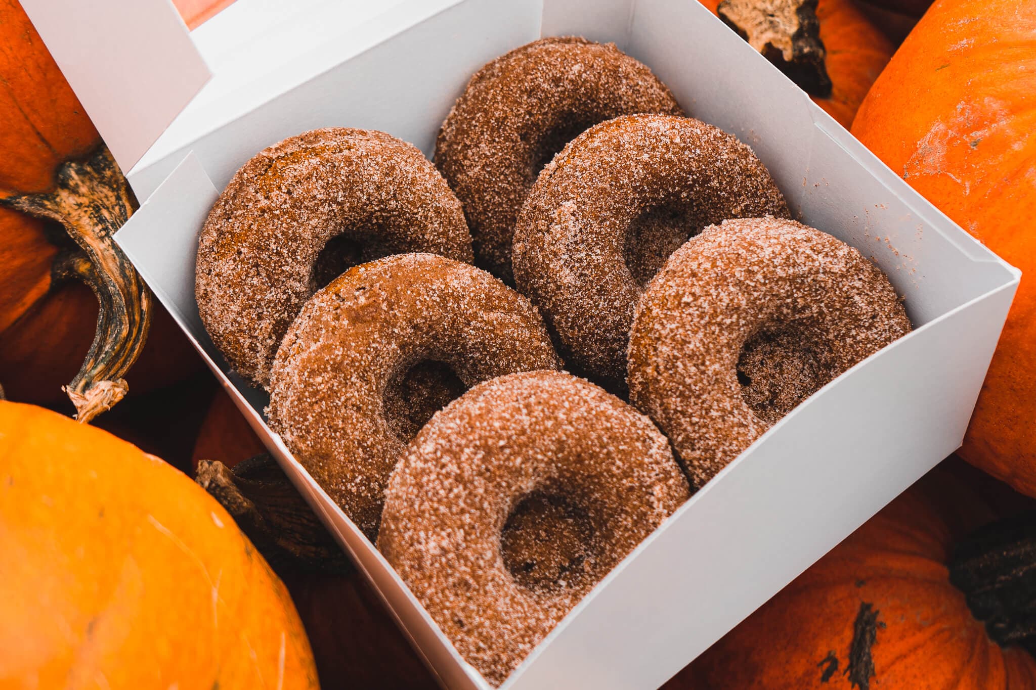 An open white box of six cinnamon-sugar doughnuts set among orange pumpkins