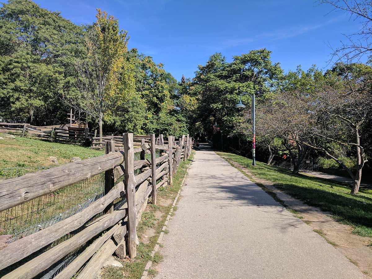 A paved trail runs beside a long split-rail paddock fence under tall trees on a sunny day