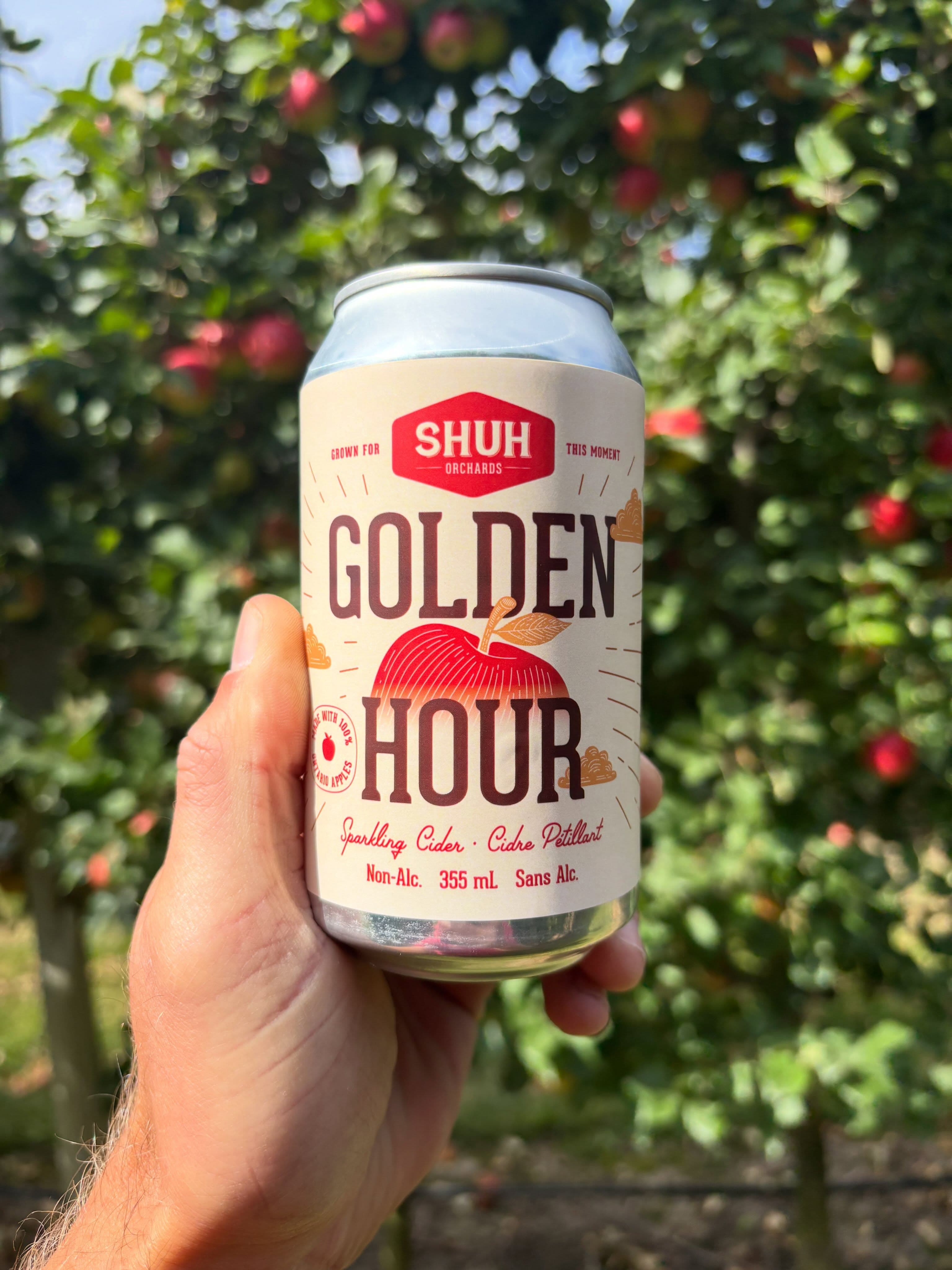 A hand holds up a can of Shuh Orchards Golden Hour sparkling cider in front of apple trees hung with red apples