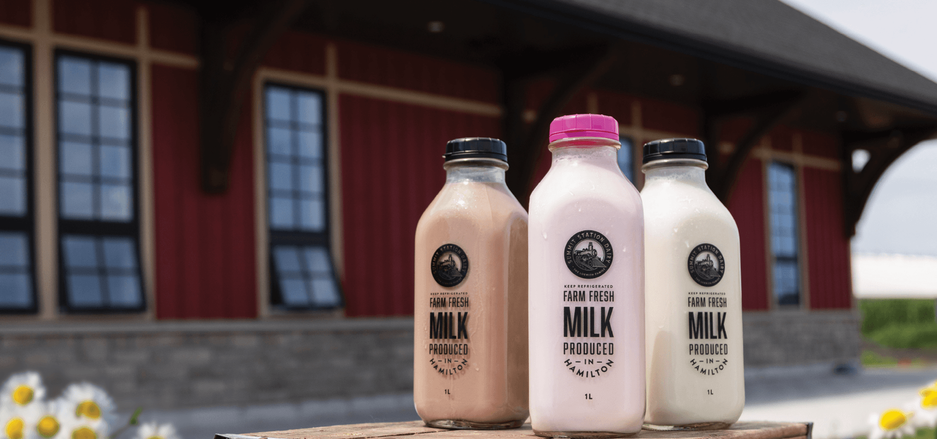 Chocolate, strawberry and white milk in Summit Station glass bottles on a wooden plank in front of the red station-style farm store, with daisies in the foreground