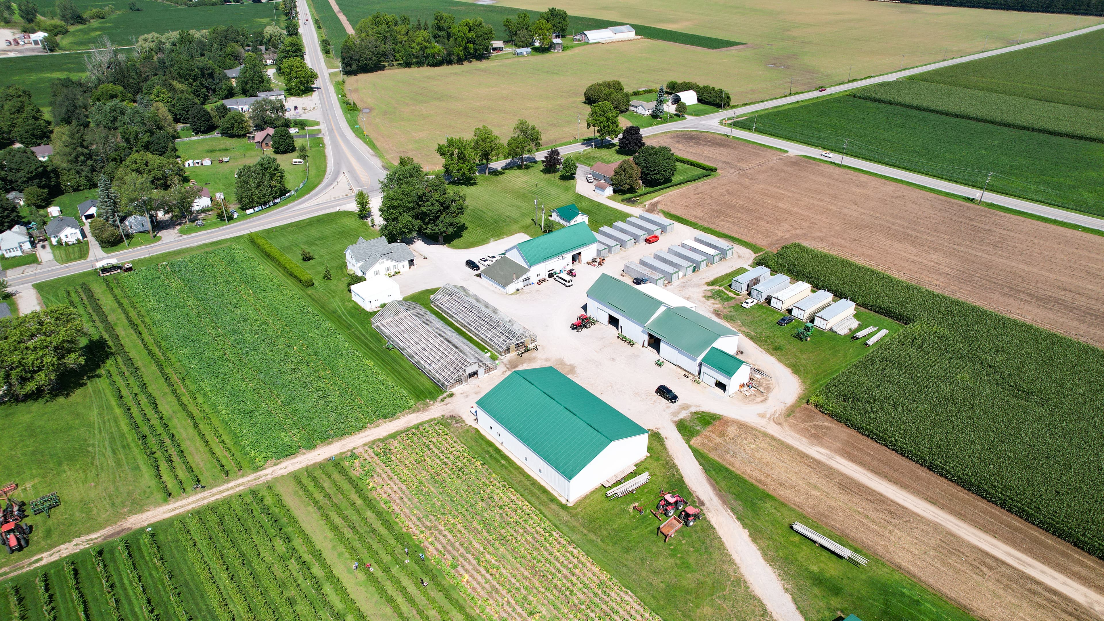 The farm from the air: green-roofed market buildings and two greenhouses on a gravel yard, with berry rows, a cornfield and the road beside them