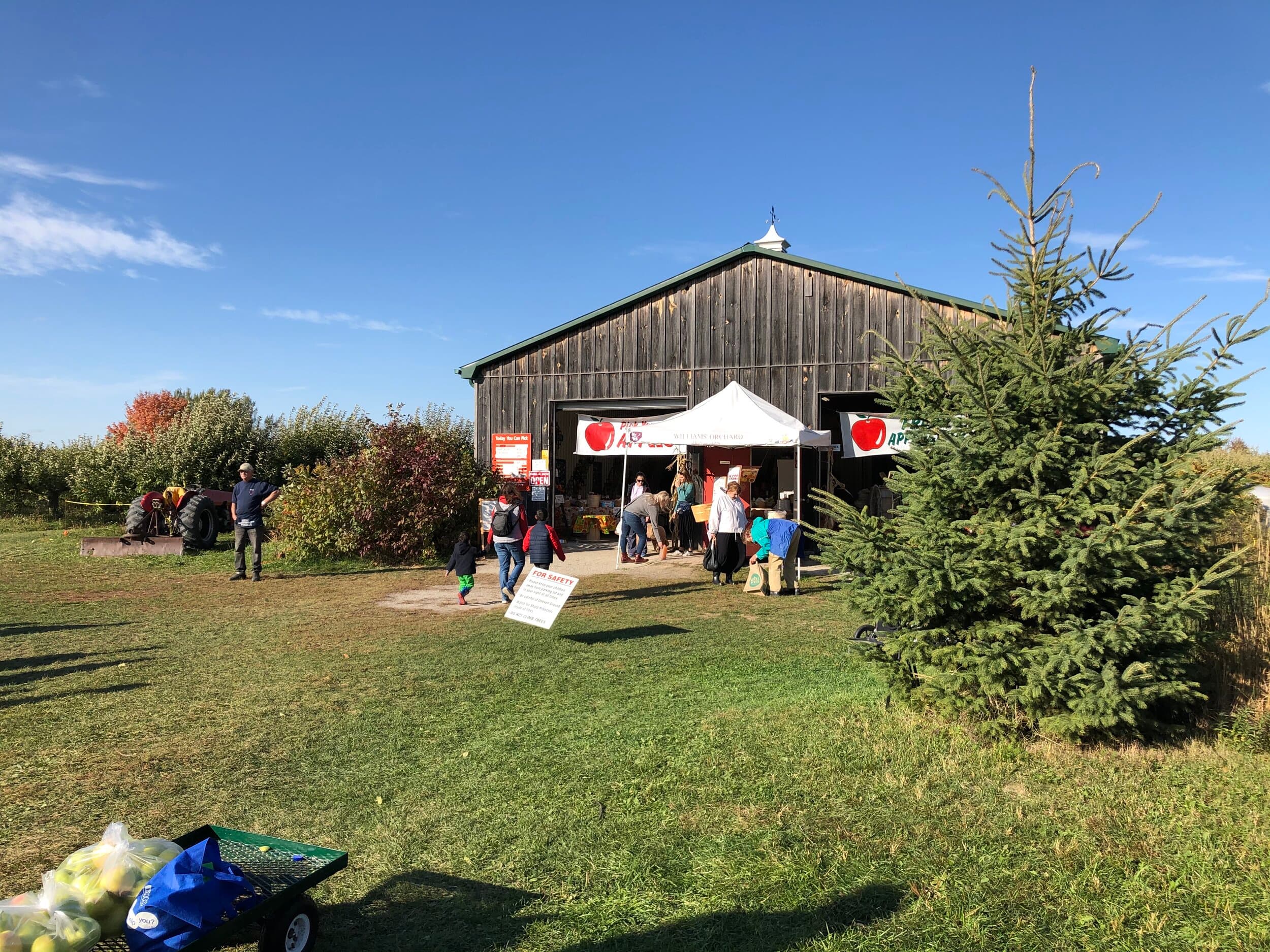 Pickers head into the barn on a sunny fall day, with a cart of bagged apples in the foreground and the orchard behind