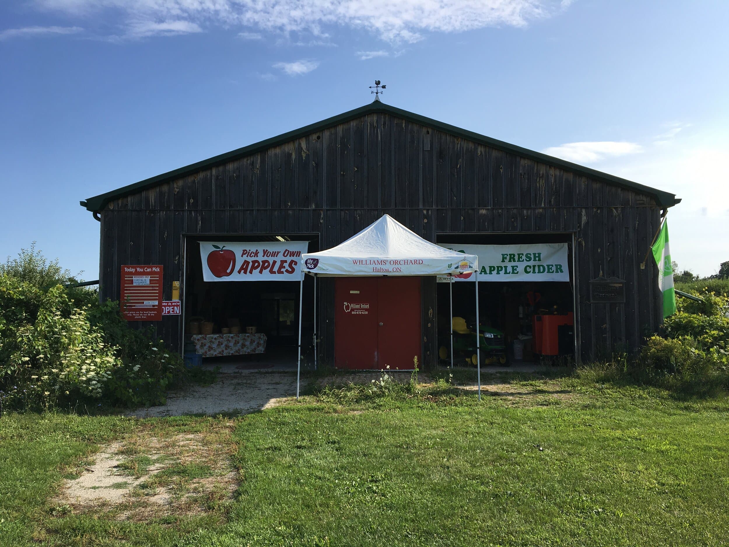 The orchard's weathered wooden barn under a blue summer sky, with Pick Your Own Apples and Fresh Apple Cider banners over its open doors