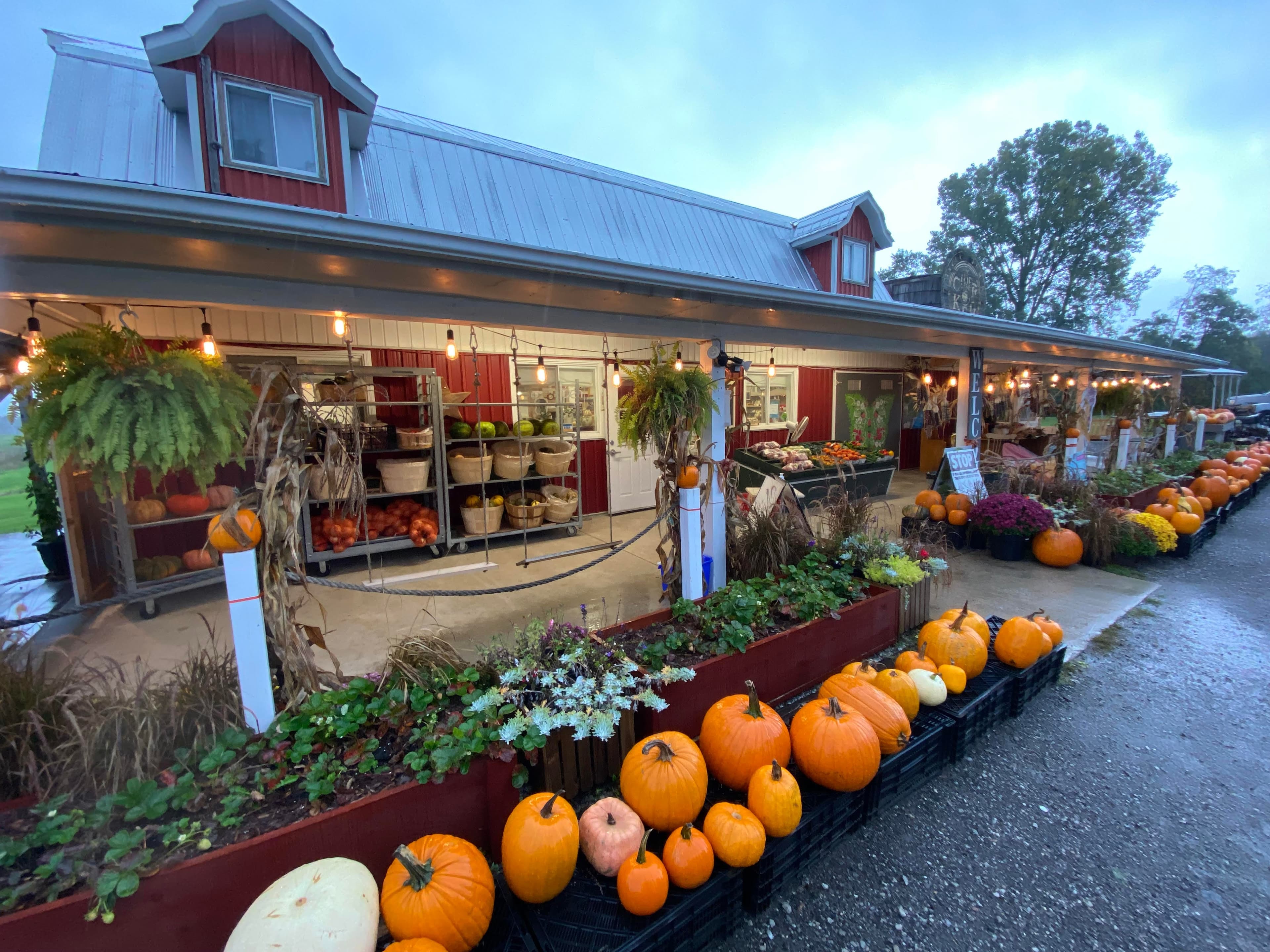 The red market barn's porch in fall, with pumpkins lined up along the planters and bushel baskets of squash and onions on the racks