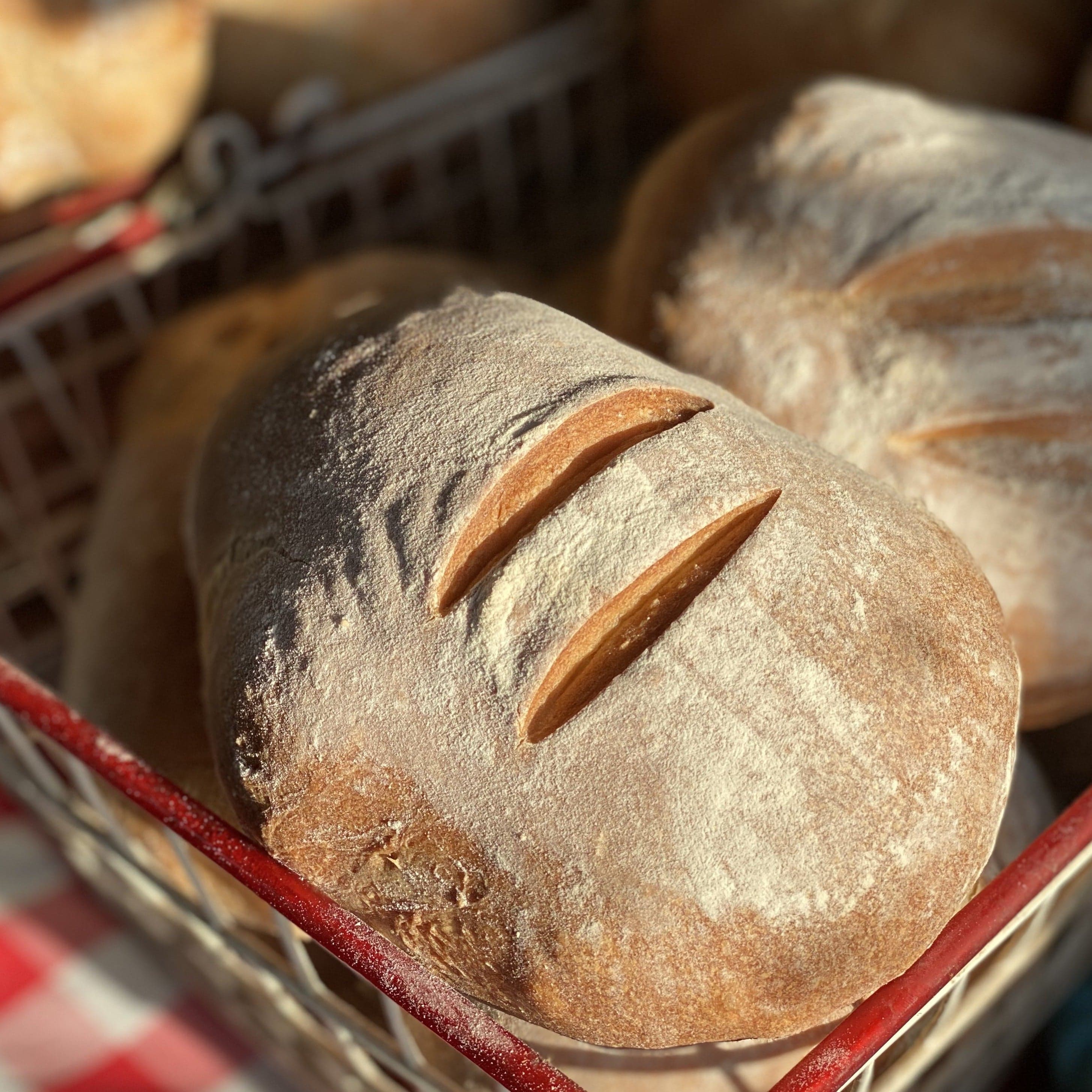 A floured loaf of rustic bread with two scored slashes sits in a red wire basket with more loaves behind, in low sun