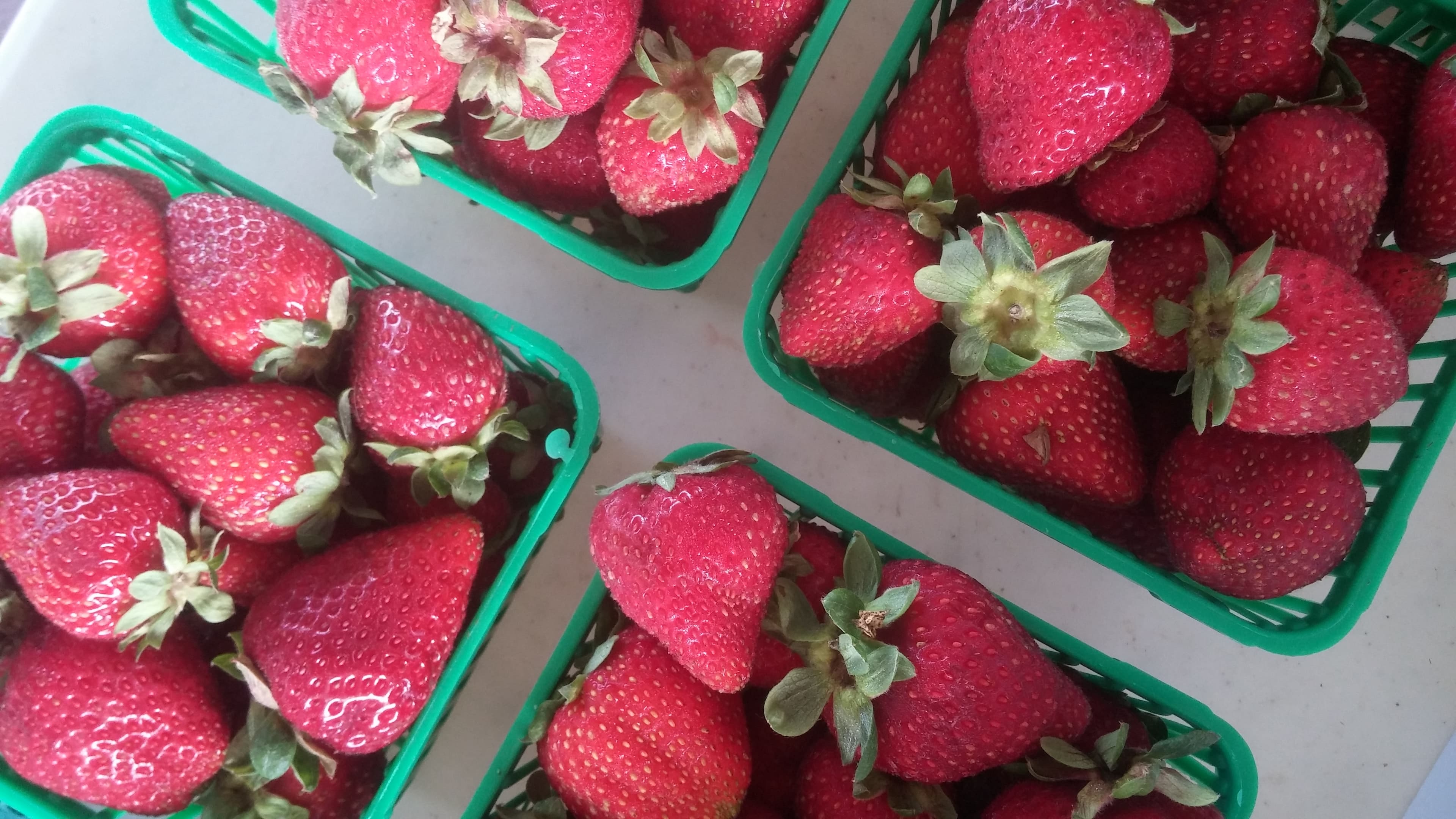 Four green quart baskets heaped with ripe red strawberries, seen from above