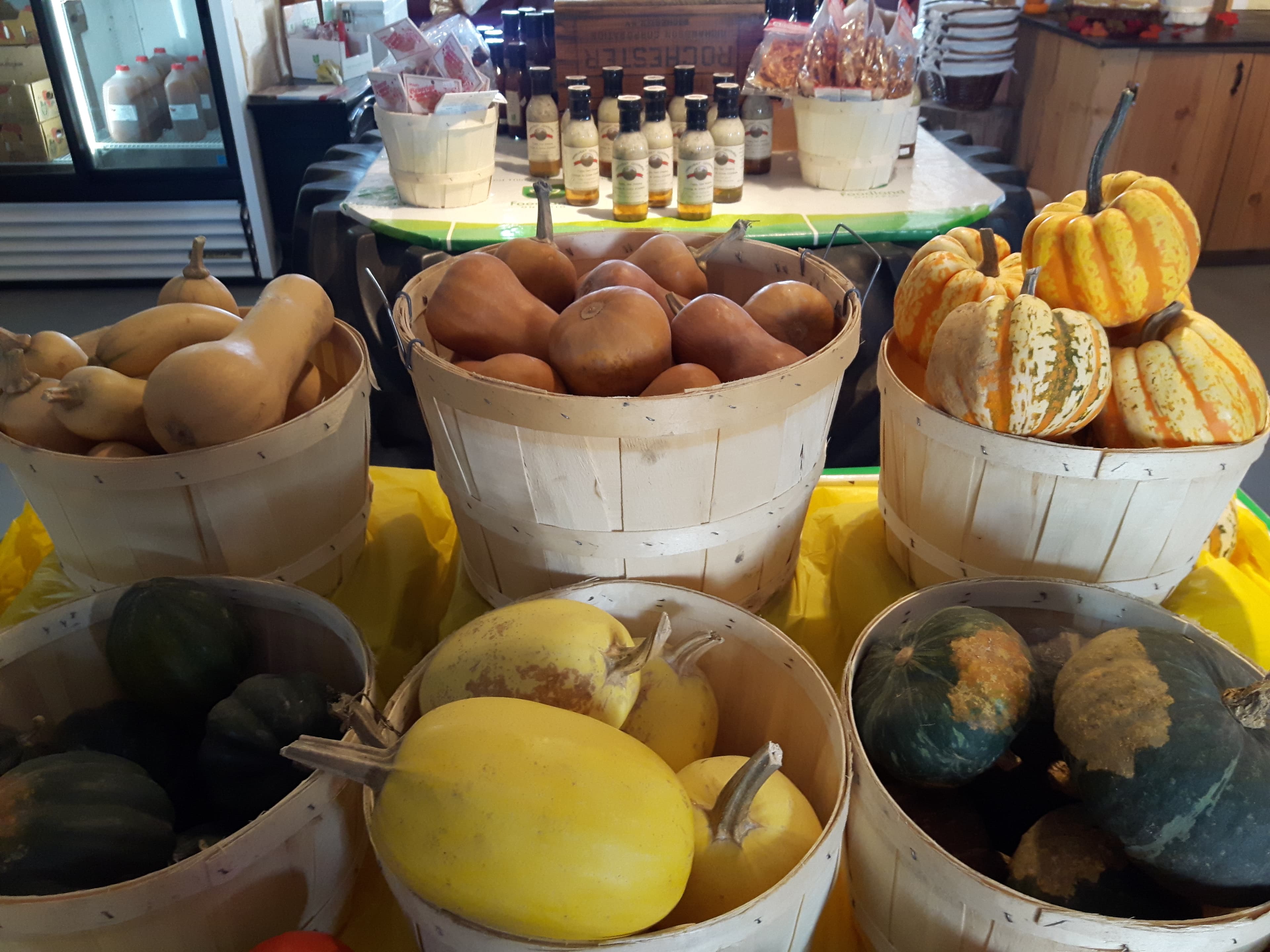 Bushel baskets of butternut, acorn, spaghetti and striped squash in the farm store, with bottled sauces on a table behind