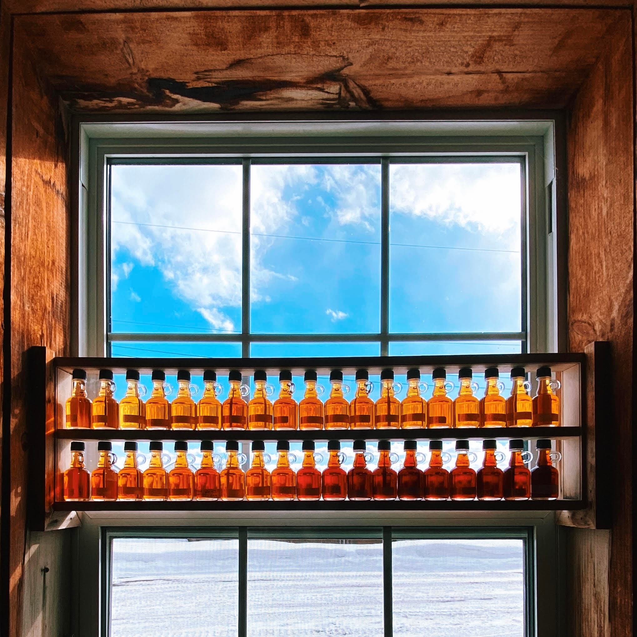 Two rows of small glass syrup bottles on a Sugar Shack window shelf, shading from pale gold to dark amber against a blue sky
